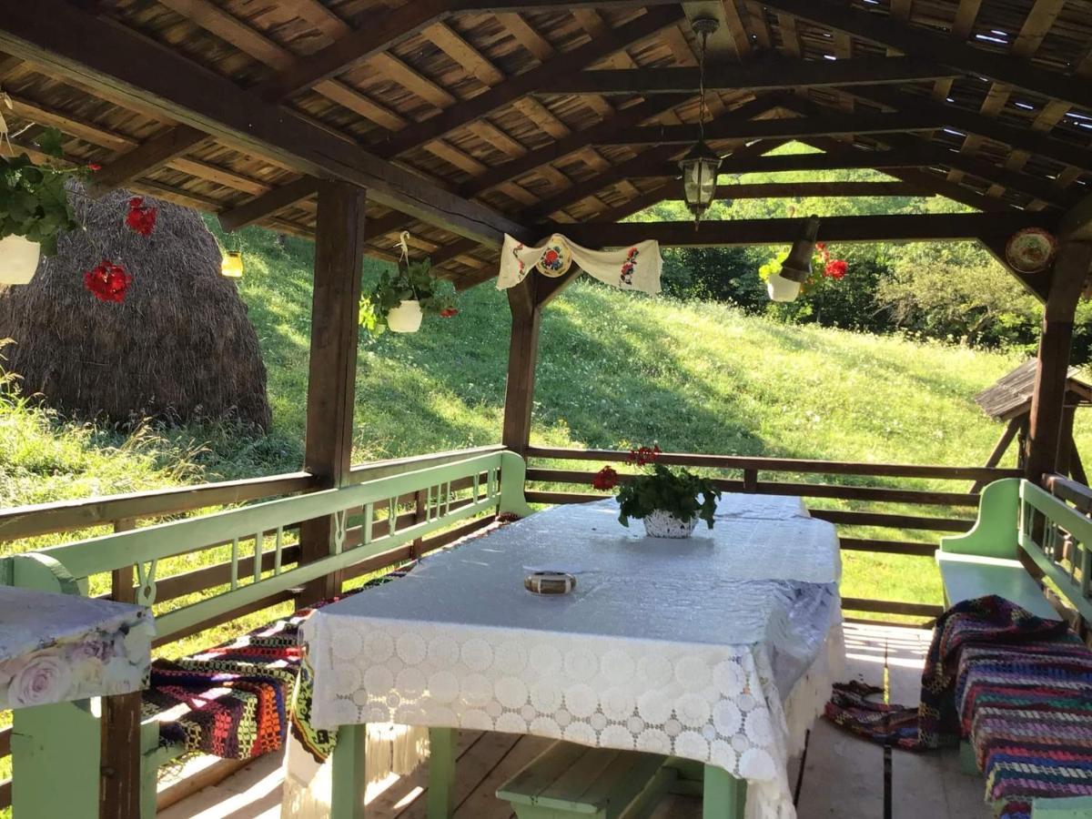 Villa Casa Dunca Sighetu Marmaţiei Esterno foto