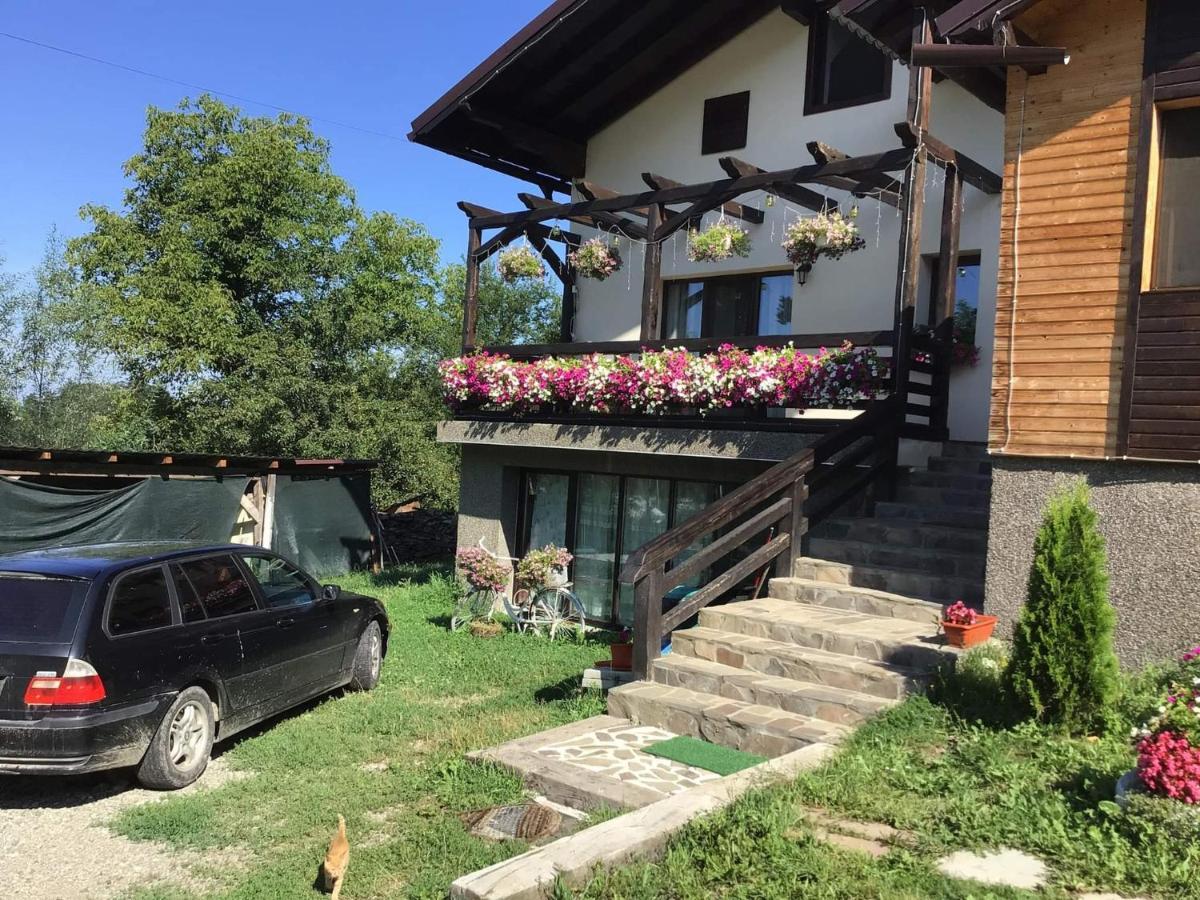 Villa Casa Dunca Sighetu Marmaţiei Esterno foto
