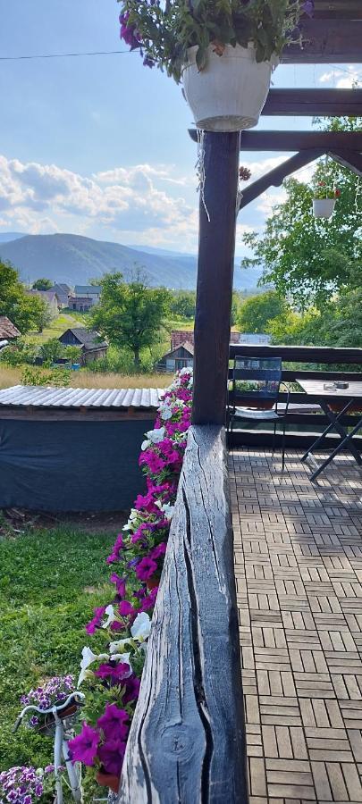 Villa Casa Dunca Sighetu Marmaţiei Esterno foto