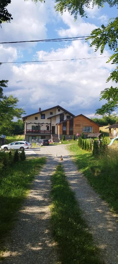 Villa Casa Dunca Sighetu Marmaţiei Esterno foto