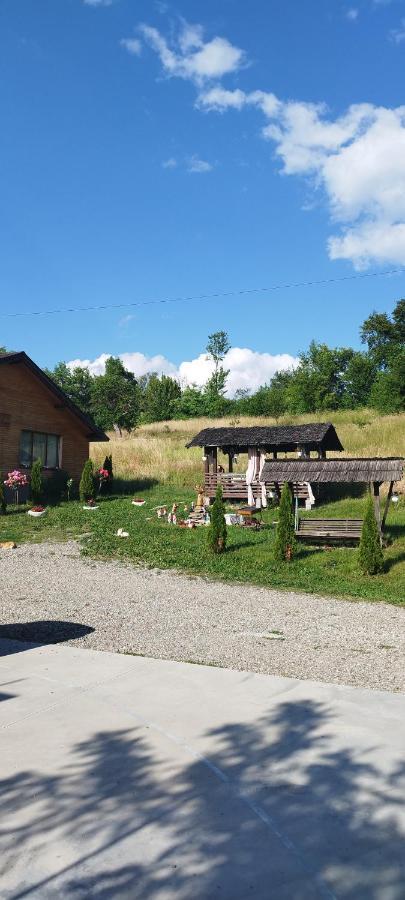 Villa Casa Dunca Sighetu Marmaţiei Esterno foto
