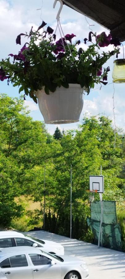 Villa Casa Dunca Sighetu Marmaţiei Esterno foto