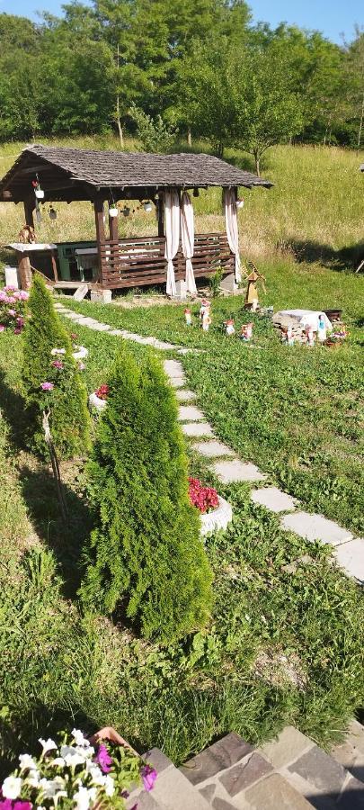 Villa Casa Dunca Sighetu Marmaţiei Esterno foto