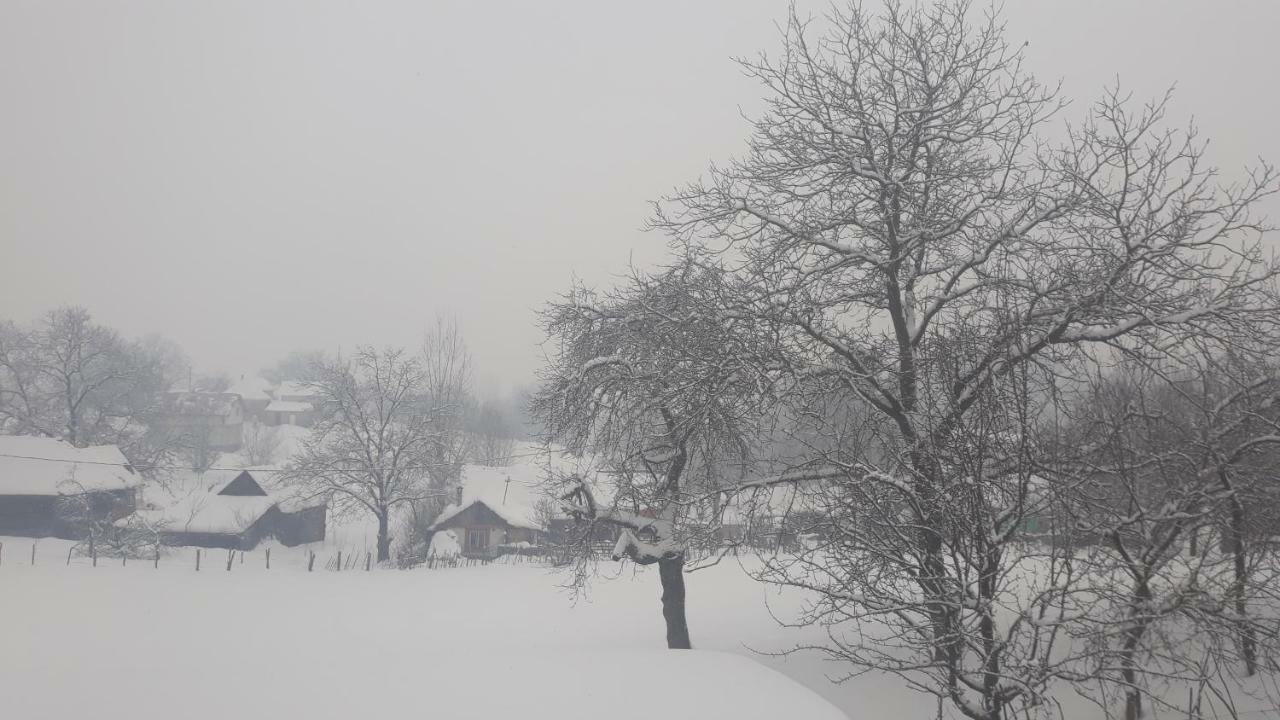 Villa Casa Dunca Sighetu Marmaţiei Esterno foto